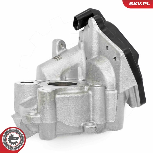 Egr-ventil Esen skv 14SKV259 ESEN SKV Egr-ventil Esen skv 14SKV259 ESEN SKV