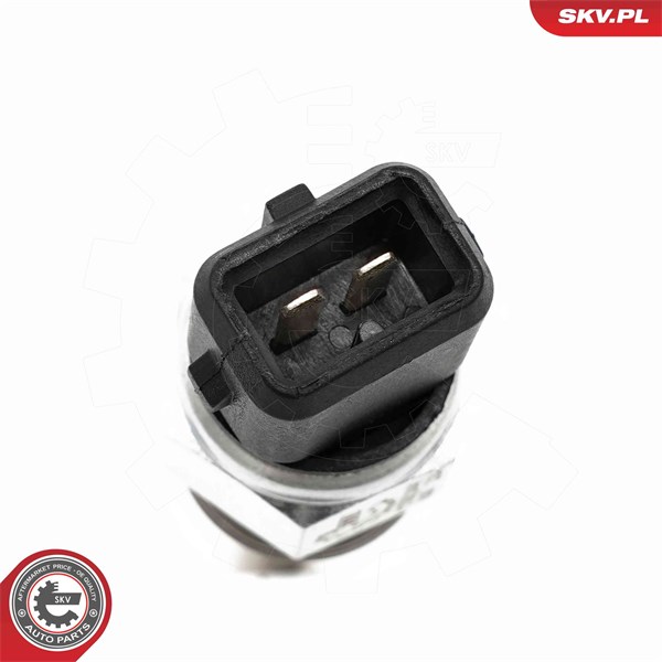 Sensor, motoroljenivå Esen skv 17SKV941 ESEN SKV
