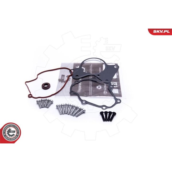Rep.sats, vakumpump (bromsar) Esen skv 18SKV802 ESEN SKV