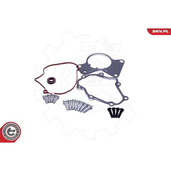 Rep.sats, vakumpump (bromsar) Esen skv 18SKV802 ESEN SKV