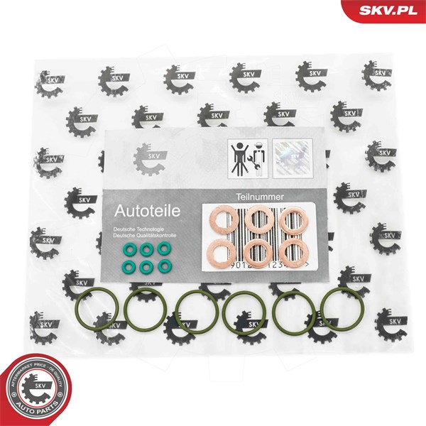 Packningssats, insprutningsmunstycke Esen skv 53SKV200 ESEN SKV