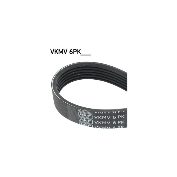 Drivrem Skf VKMV 6PK1031 SKF