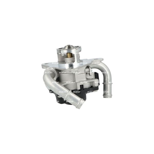Egr-ventil 12V Nrf 48743 NRF