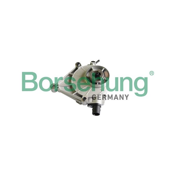 Vakuumpump, bromssystem Borsehung B12221 Borsehung