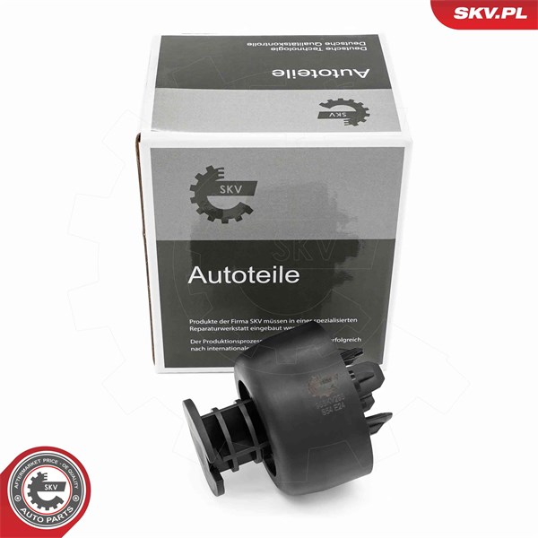 Domkraftspunkt Esen skv 96SKV296 ESEN SKV