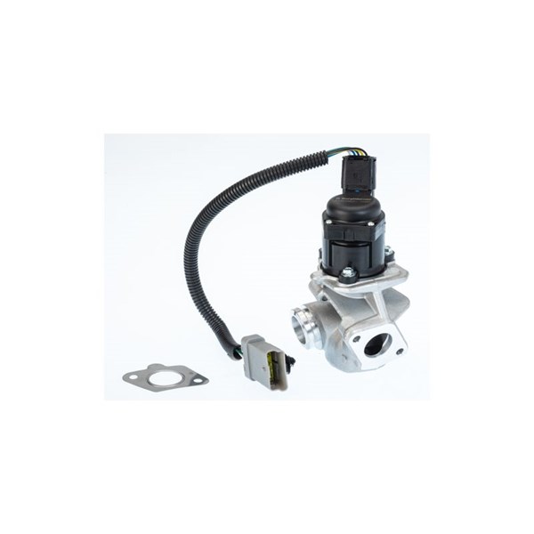 Egr-ventil Borgwarner (wahler) 710936D/1 BorgWarner (Wahler)