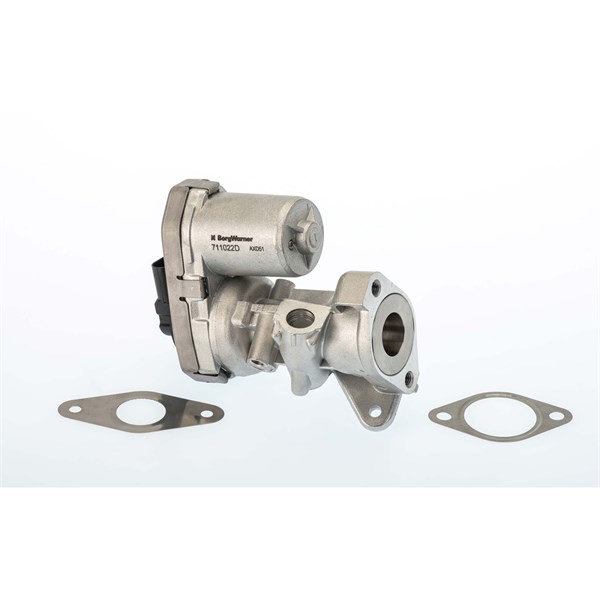 Egr-ventil Borgwarner (wahler) 711022D/1 BorgWarner (Wahler)