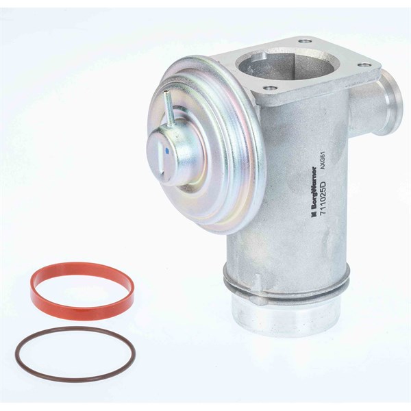 Egr-ventil Borgwarner (wahler) 711025D/1 BorgWarner (Wahler)