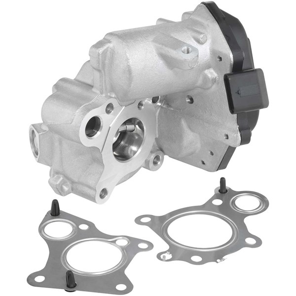 Egr-ventil Borgwarner (wahler) 712019D BorgWarner (Wahler)