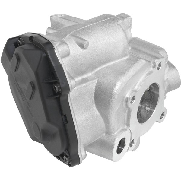 Egr-ventil Borgwarner (wahler) 712019D BorgWarner (Wahler) Egr-ventil Borgwarner (wahler) 712019D BorgWarner (Wahler)
