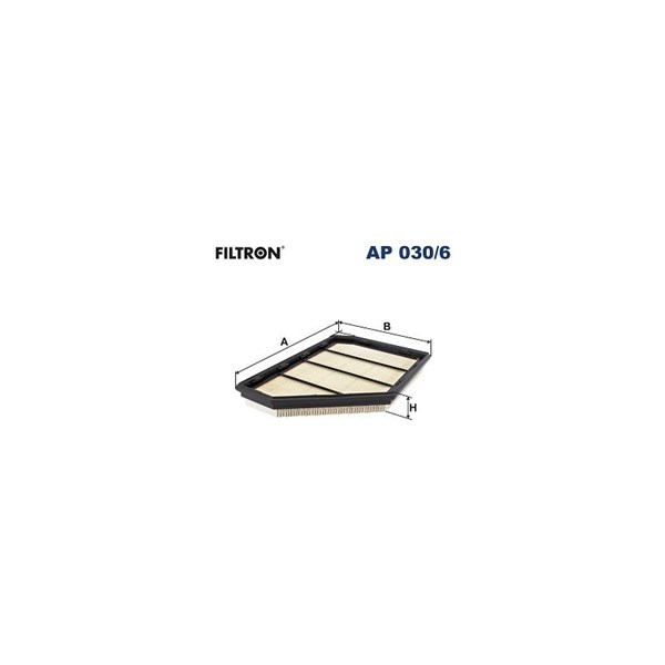 Luftfilter Filtron AP 030/6 FILTRON