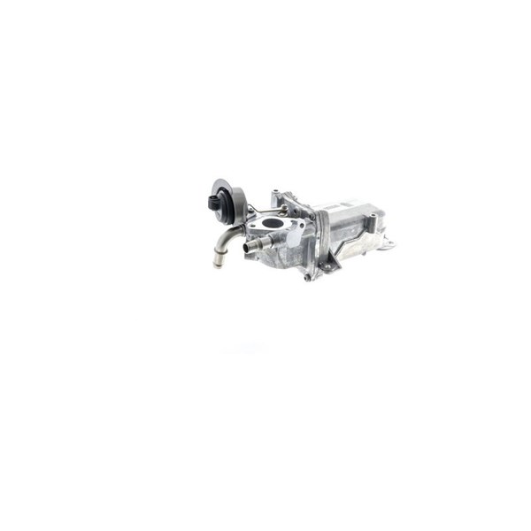 Kylare, avgasåterföring Mahle CE 36 000P MAHLE