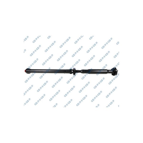 Kardan, Bak Gsp PS900166 GSP