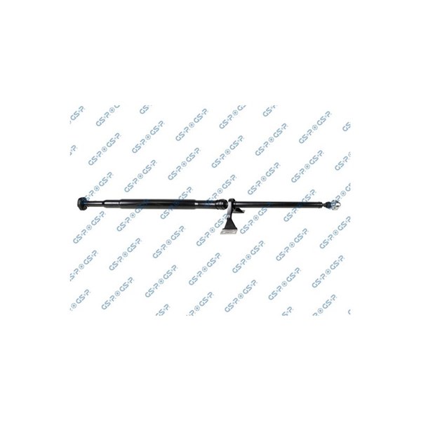 Kardan, Bak Gsp PS900347 GSP