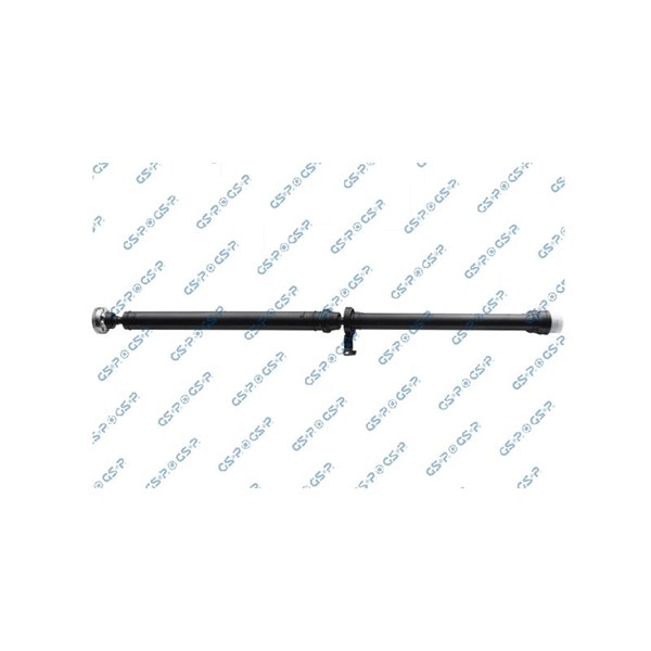 Kardan, Bak Gsp PS900595 GSP