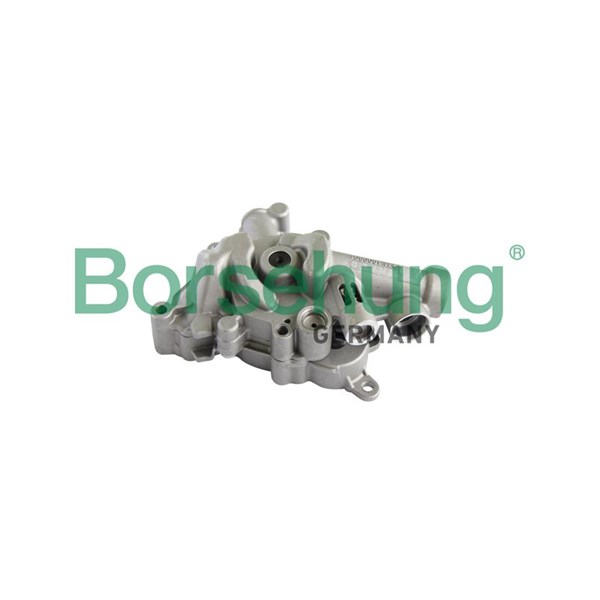 Oljepump Borsehung B11899 Borsehung