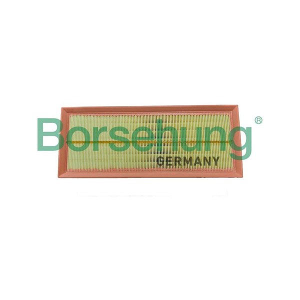 Luftfilter Borsehung B12447 Borsehung