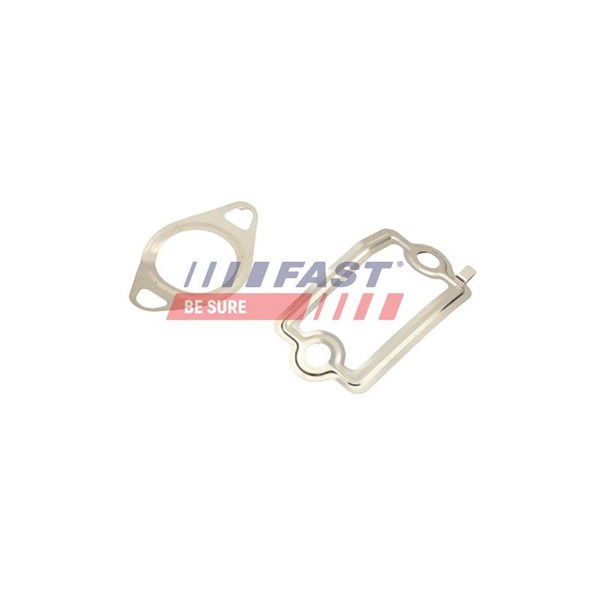 Packning EGR-ventil Fast FT49925 FAST