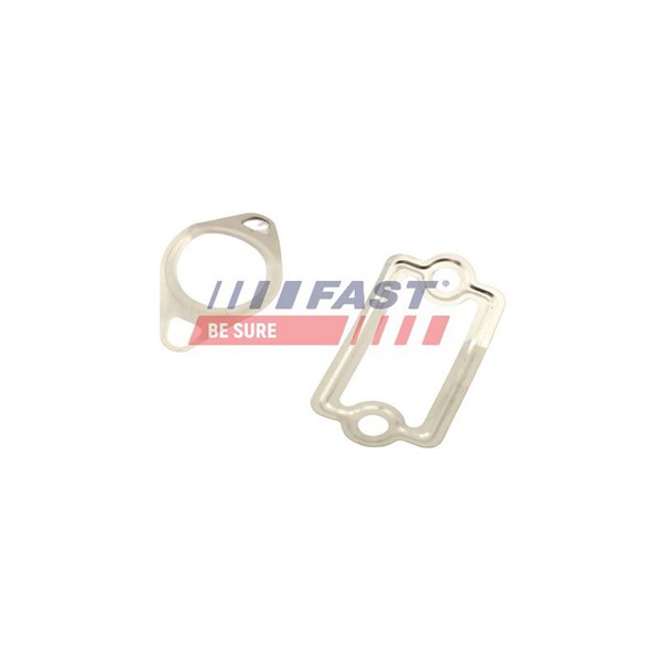 Packning EGR-ventil Fast FT49925 FAST