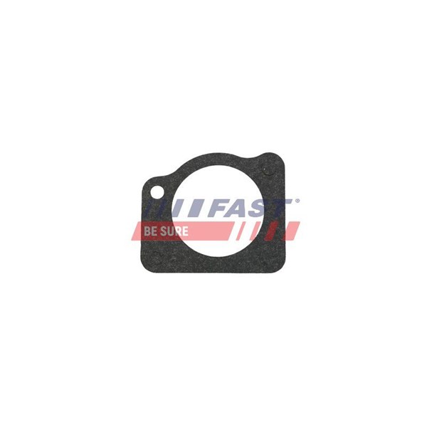 Packning, vattenpump, Insugsgrenrör Fast FT57404 FAST