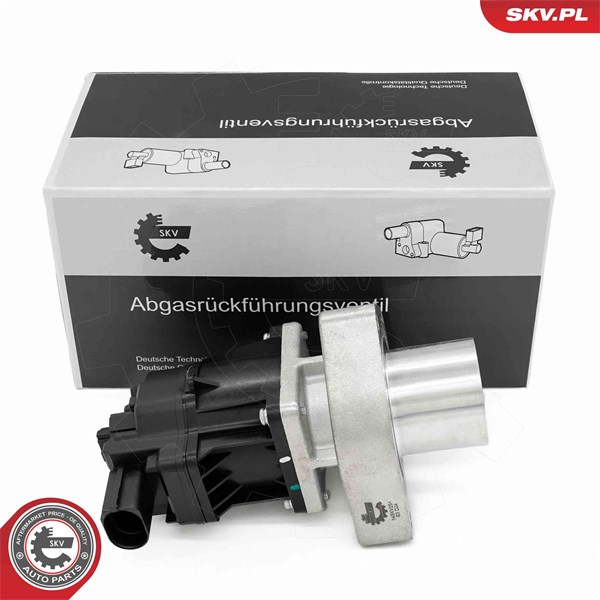 Egr-ventil Esen skv 14SKV254 ESEN SKV
