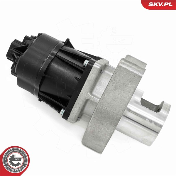 Egr-ventil Esen skv 14SKV254 ESEN SKV