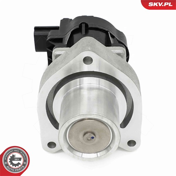 Egr-ventil Esen skv 14SKV254 ESEN SKV