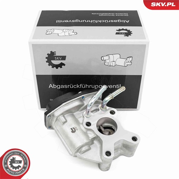 Egr-ventil Esen skv 14SKV265 ESEN SKV