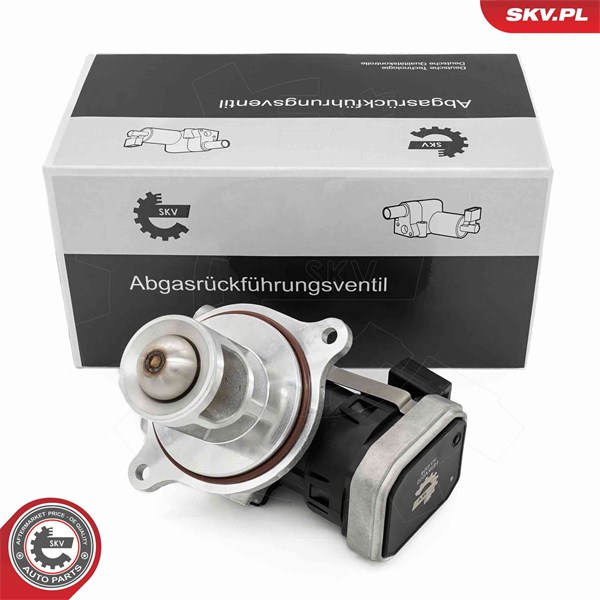 Egr-ventil Esen skv 14SKV272 ESEN SKV