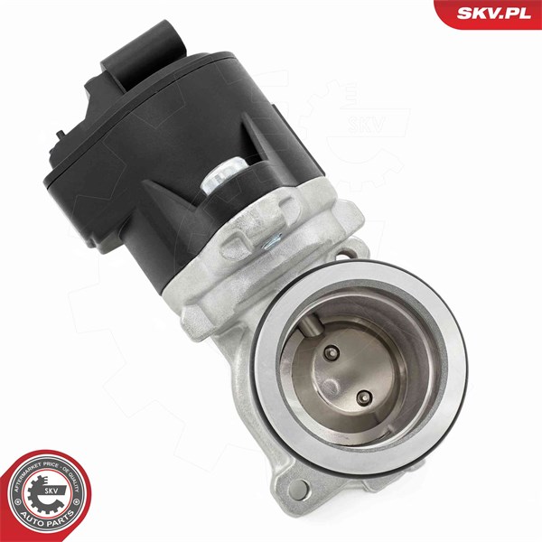 Egr-ventil Esen skv 14SKV275 ESEN SKV