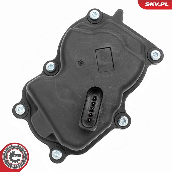 Egr-ventil Esen skv 14SKV277 ESEN SKV