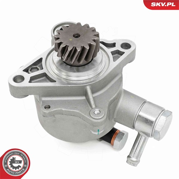Vakuumpump, bromssystem Esen skv 18SKV065 ESEN SKV
