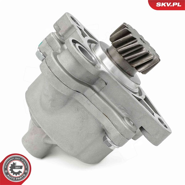 Vakuumpump, bromssystem Esen skv 18SKV065 ESEN SKV