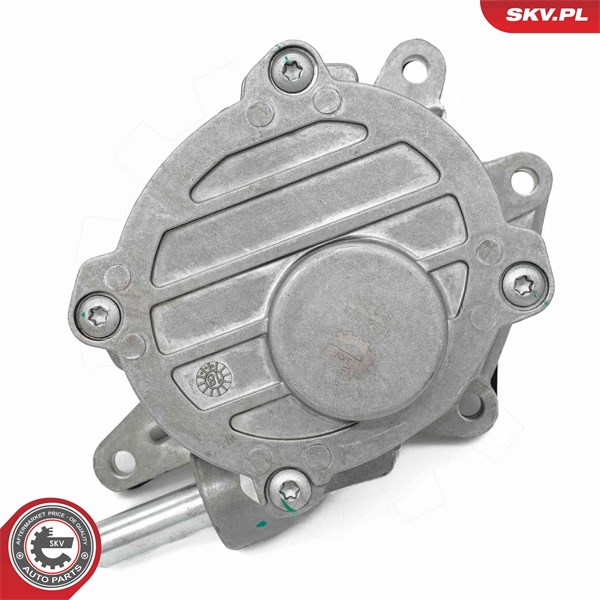 Vakuumpump, bromssystem Esen skv 18SKV073 ESEN SKV