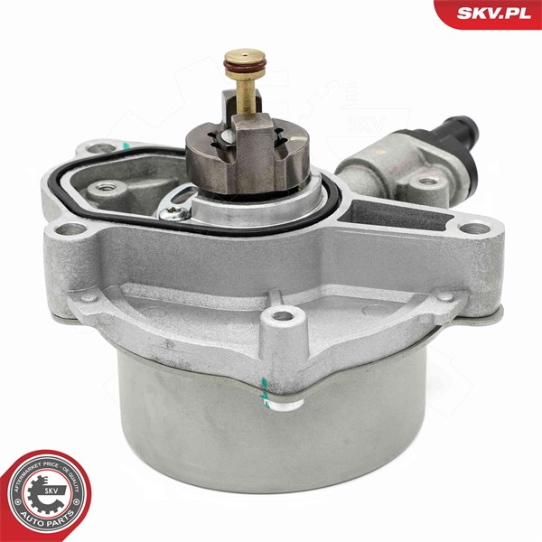 Vakuumpump, bromssystem Esen skv 18SKV079 ESEN SKV