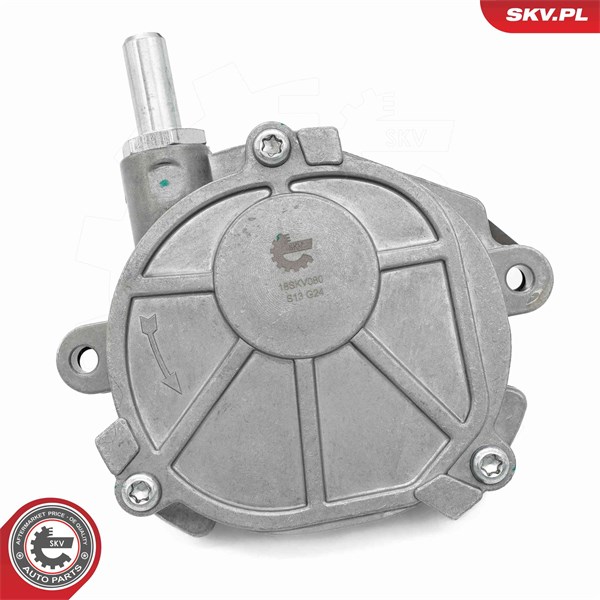 Vakuumpump, bromssystem Esen skv 18SKV080 ESEN SKV