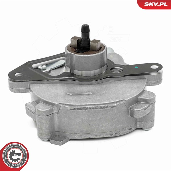 Vakuumpump, bromssystem Esen skv 18SKV080 ESEN SKV