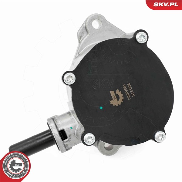 Vakuumpump, bromssystem Esen skv 18SKV081 ESEN SKV