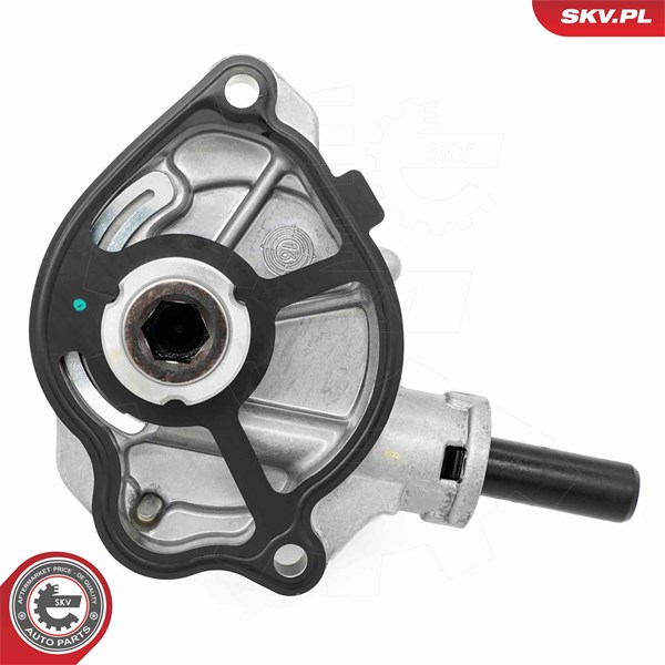 Vakuumpump, bromssystem Esen skv 18SKV081 ESEN SKV