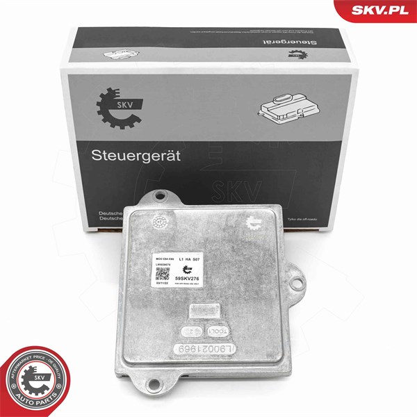 Kontrollenhet, belysning Esen skv 59SKV276 ESEN SKV