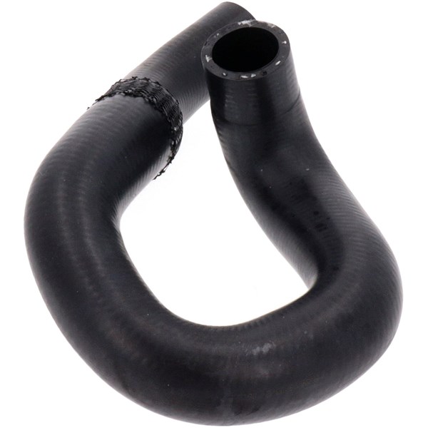 Kylarslang, Ingång