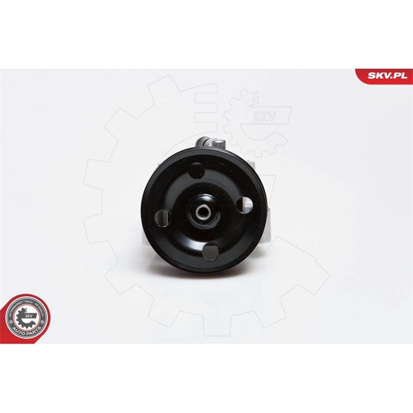 Servopump Esen skv 10SKV091 ESEN SKV