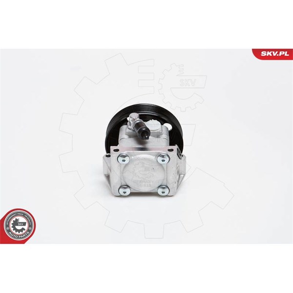 Servopump Esen skv 10SKV091 ESEN SKV