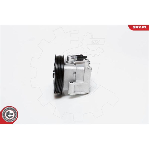 Servopump Esen skv 10SKV091 ESEN SKV