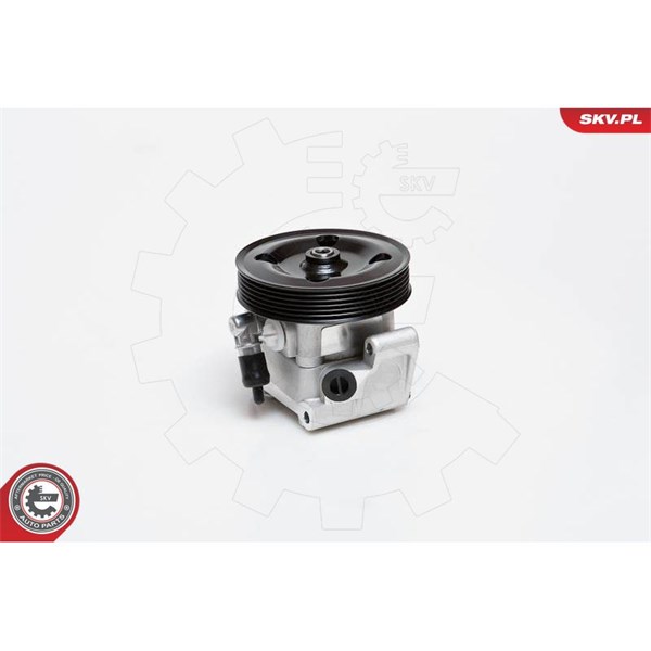 Servopump Esen skv 10SKV091 ESEN SKV