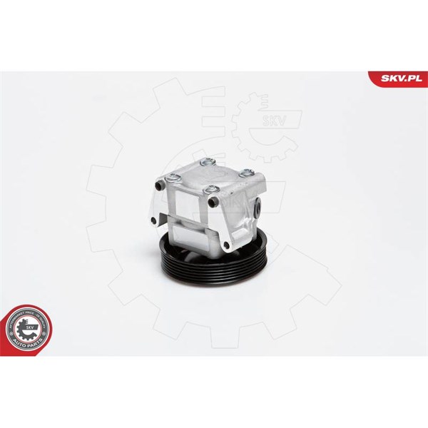 Servopump Esen skv 10SKV091 ESEN SKV