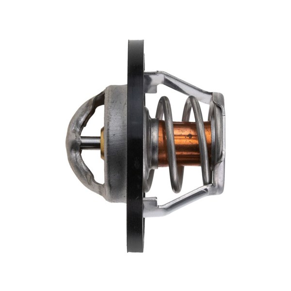 Termostat, kylvätska Nty CTM-NS-004 NTY