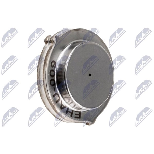 Kontrollenhet, automatisk transmission Nty EAT-AU-009 NTY