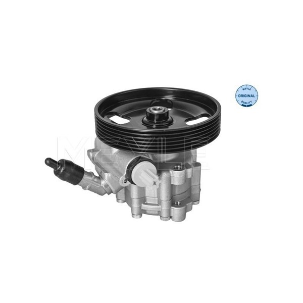 Servopump Meyle 11-14 631 0019 MEYLE