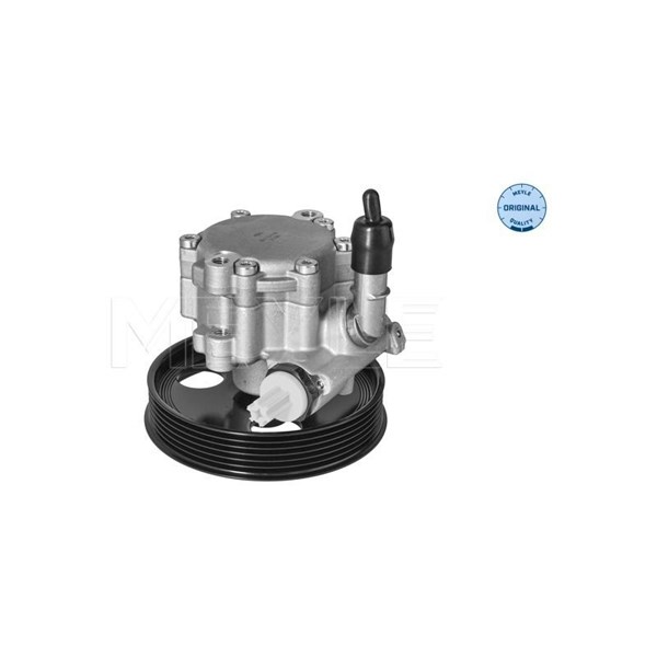Servopump Meyle 16-14 631 0005 MEYLE